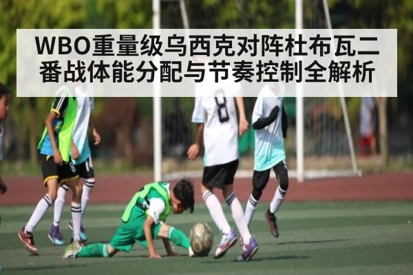 WBO重量级乌西克对阵杜布瓦二番战体能分配与节奏控制全解析 - WCG