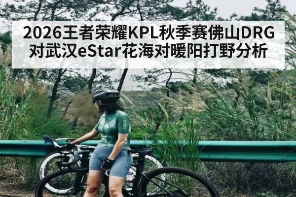 2026王者荣耀KPL秋季赛佛山DRG对武汉eStar花海对暖阳打野分析